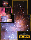 Handouts: Bullets in the Orion Nebula