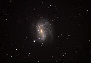Optical image of NGC 4051