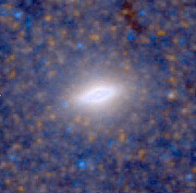 HST optical image of the flattened nuclear central cluster in NGC 4244