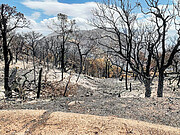 Burned out area on South West ridge of Kitt Peak National Observatory on 18 June 2022