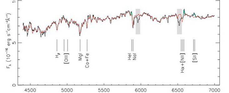 Gemini South GMOS spectrum of the nuclear region of the host galaxy of the observed off-center tidal disruption event