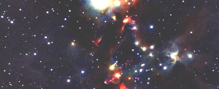 The NGC 1333 cluster