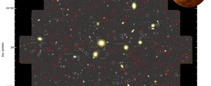 Oodles of Faint Dwarf Galaxies in Fornax Shed Light on a Cosmological Mystery