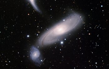 Arp 286 (NGC 5560, 5566 & 5569)