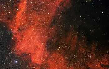 North America Nebula, NGC 7000 South