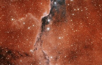 IC 1396A Elephant Trunk Nebula