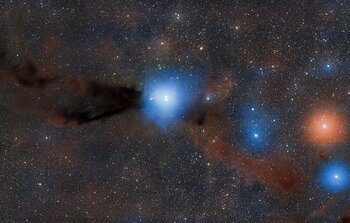 Radiant Protostars and Shadowy Clouds Clash in Stellar Nursery
