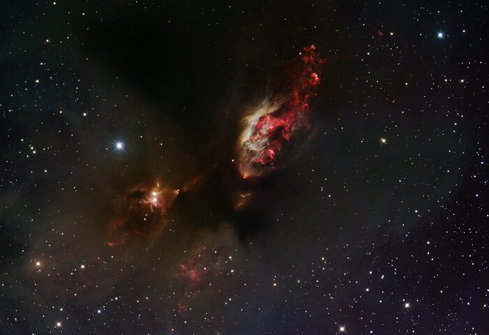 Nebula Sh2-239