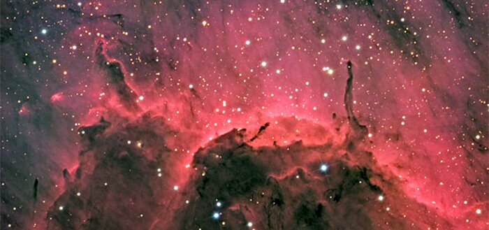 IC 5067, Pelican Nebula