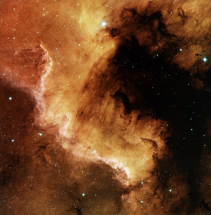 North America Nebula, NGC 7000 South